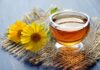 Tisane e infusi, guida completa ai benefici delle bevande con erbe più popolari benefici bevande erbe