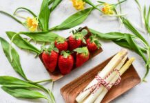 Cucina vegana a Bergamo: un settore in continua evoluzione cucina vegana bergamo